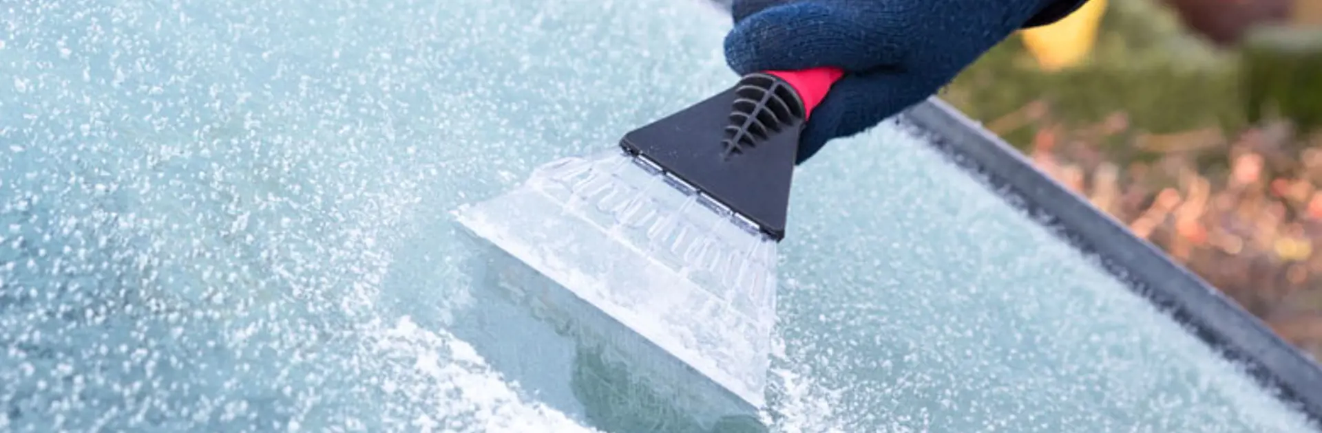 Krabben Auto Ruit 780