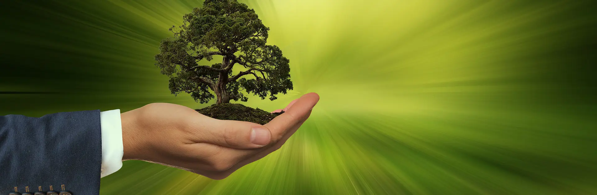 Sustainability G05ffb48b0 1920