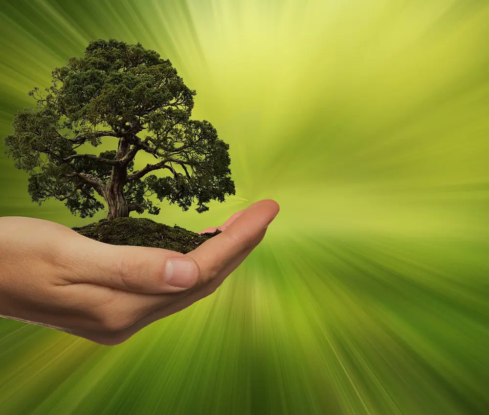 Sustainability G05ffb48b0 1920