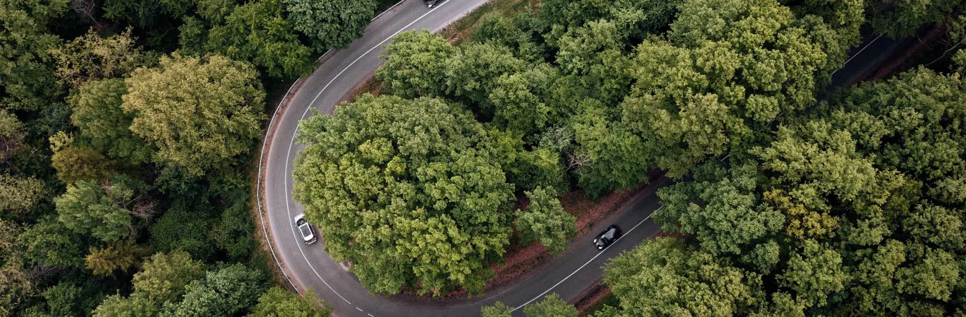 Dusan Adamovic Yfsatnc7ajg Unsplash