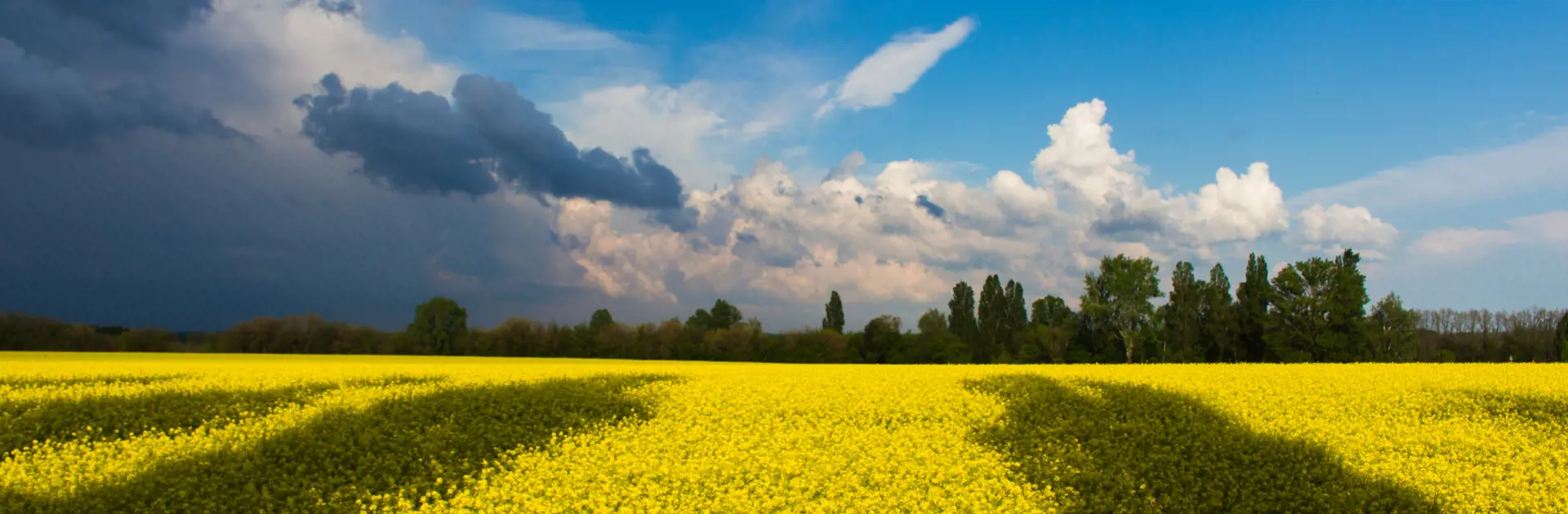 Pexels Kostiantyn Stupak 190340